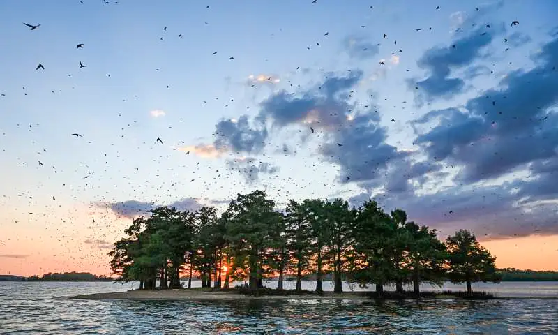 Arkansas’ largest lake, Lake Ouachita offers 40,000 acres of clear, clean water surrounded by the scenic Ouachita National Forest.